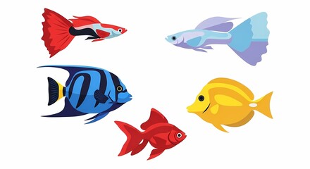 Fototapeta premium A collection of colorful tropical swimming creatures showcasing vibrant scales and various fin shapes for aquarium hobbyists who want to explore diverse aquatic life patterns within domestic
