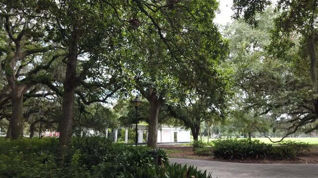 Walking Summer Green Park weeping Willow trees with white building