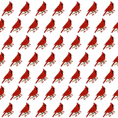 Seamless digital pattern with red cardinal birds on berry branches on the white background. Perfect for digital scrapbooking, holiday graphics, festive invitations, Instagram posts