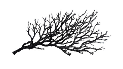 Obraz premium Black coral twig background isolated on a Transparent background, PNG file.
