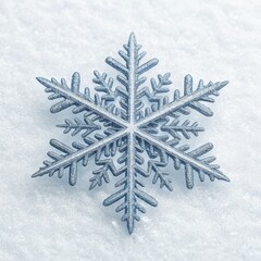 Silver Snowflake on Snow, Winter , Holiday