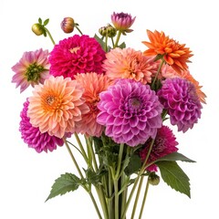 Vibrant Dahlia Bouquet Pink, Orange, Purple Blooms on White, Flowers , Floral