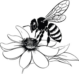 Smooth elegant outline of a honeybee on flower