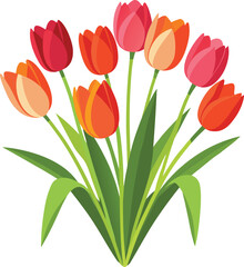 A vibrant bouquet of colorful tulips in various shades on white background