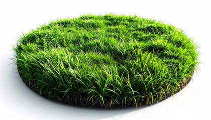 3 circular grass patch with soil base vibrant green short grass blades round shape isolated on a white background minimalist setup studio lighting high contrast 3d rendered photorealistic
4