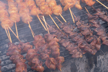 Marinated meat with sauce and spices Many flavorings Bamboo skewers grilled with charcoal