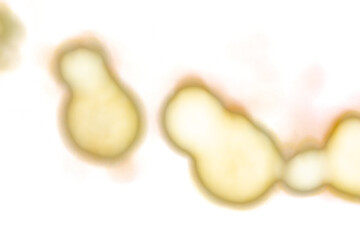 Yellow glowing light spots on transparent background. Abstract round soft blur highlights, bright luminous circles with smooth edges. Digital glow effect for overlays, decoration, and creative design.