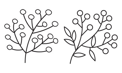 Berry Branch Illustrations | Botanical Leaves, Christmas Holly, Nature and Floral Decoration