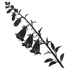 branch with foxglove camelot rose © MOHAMMADRIPON