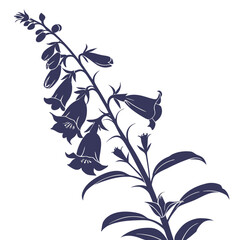 foxglove camelot rose on white background  © MOHAMMADRIPON