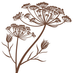 fennel bronze flower with leaves
