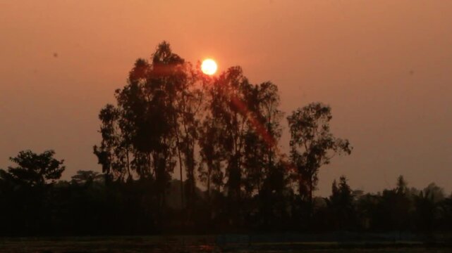 Evening Sunset, Red boll Silhouette photography background.  The bright disk of the Sun is in the sky, which is painted in pink, yellow, orange colors. Trees rise up all around.close-up video