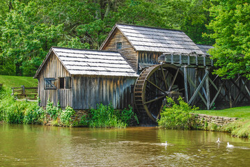 Willville June 2009095.JPG