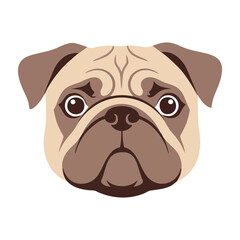 Closeup of a Pug's Face Adorable Dog Portrait
