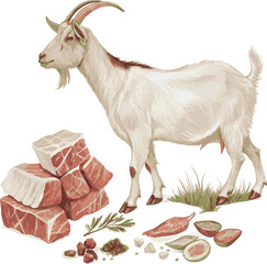 Goat and goat meat Eid-ul-Azhar