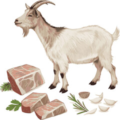 Goat and goat meat Eid-ul-Azhar