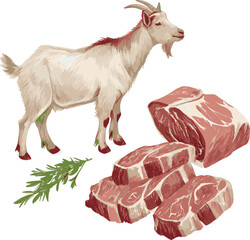 Goat and goat meat Eid-ul-Azhar