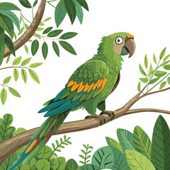 blue and yellow macaw, parrot amazing vector photos, change everything 