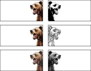 Set of bear illustrations in multiple styles including full color, black and white, outline, and shading variations