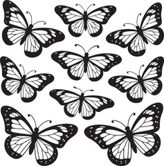 Obraz premium Black and white monarch butterflies butterfly monarch butterfly