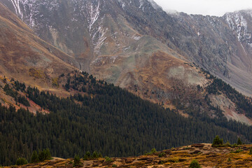 Yellow leaves shimmer in the sunlight along the mountain road.