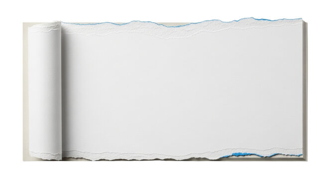 Isolated torn paper page with rolled edge ready for text, announcement or graphic element
