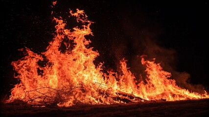Fire and flames for background. Bright flames background. Texture of fire on a black background....