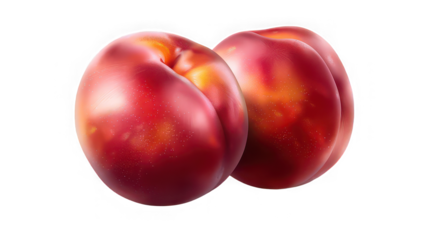 A close up of two ripe nectarines showing their smooth red skin and yellow hues against a black background