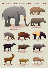 Tropical Wildlife Mammals of Southeast Asia Poster Illustration Educational Animal Chart