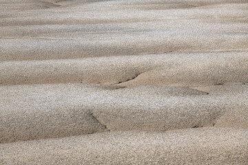 mudflat at the seaside