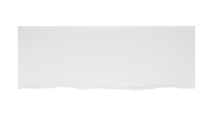 Isolated paper scrap with ripped edges, blank piece of paper for message, paper sheet