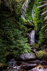 A beautiful waterfall hidden in the forest