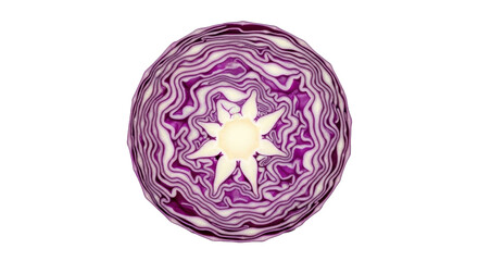Isolated cross section of red cabbage, showing leaves and beautiful radial pattern