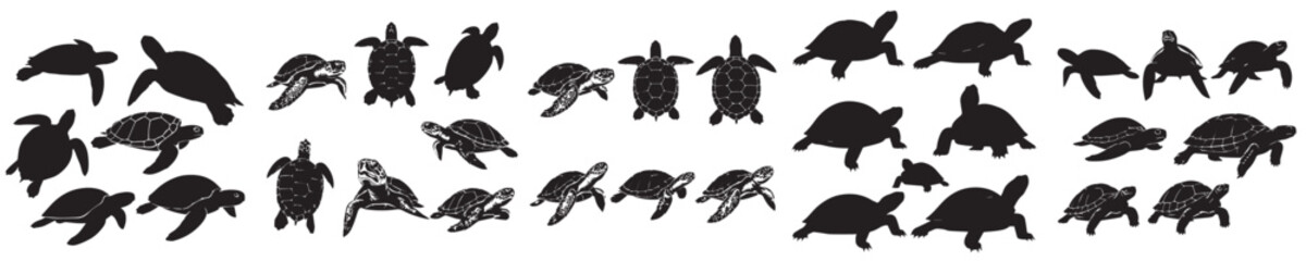 Set of turtle silhouette vectors