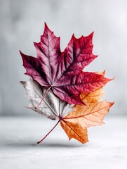 Leaves in shades of red, orange, and white fall gracefully, capturing the essence of autumn in a serene moment