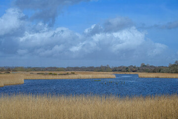 view across Titchfield Haven National Nature Reserve Hampshire England on a bright winter day