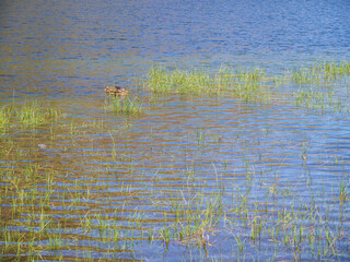 A small community finding safety together in a vast landscape
