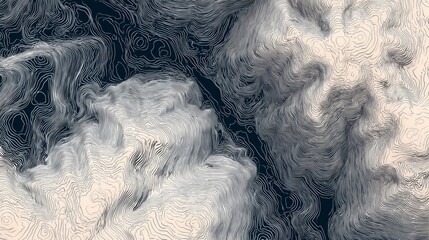 Monochrome Topographic Elevation Map