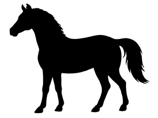 Horse silhouette,morgan horse black silhouette vector