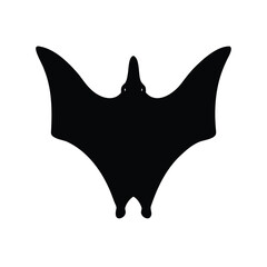 Silhouette of a Pterodactyl in Flight Prehistoric Reptile Against White Background