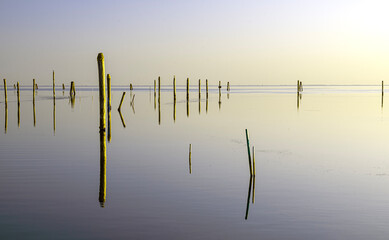 Poles in the Venetian Lagoon near Malamocco at Sunset