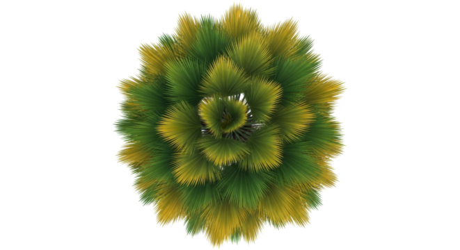 Isolated Green and Yellow Tropical Palm Tree Plant against Neutral Backdrop for Design Work