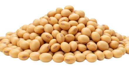 Isolated pile of light brown soybeans seeds, edible raw bean, harvest for food and health