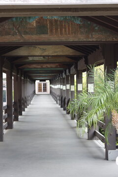 peaceful walkway