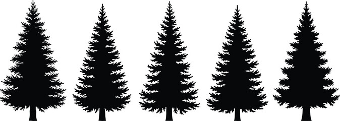 Set of black silhouette pine trees, evergreen forest elements, Christmas fir tree collection vector illustration for holiday, winter, and nature design.