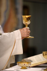 Chalice in the hands of the priest on the altar during the celebration of the mass