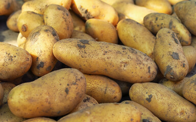 Pile of fresh harvested potatoes	