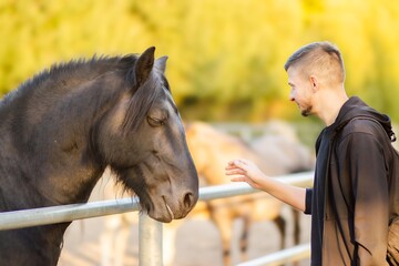 Young man interacting with a black horse at a farm, showcasing a bond between human and animal in a serene outdoor environment with soft sunlight