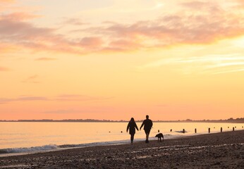 Silhouettes of a man, a woman and a dog walking along the beach, a couple walking with a dog along...