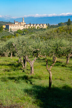 La Certosa di Firenze, Toscana, Italia, attorniata da vigneti , boschi e alberi